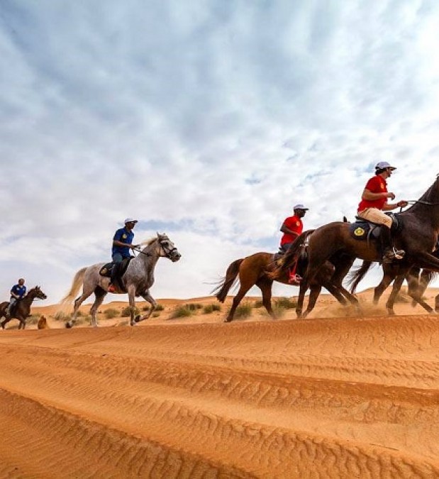 Ramla Voyages
Agence de Voyages 
Douz Tunisie
Travel Agency
Douz Tunisia
Dromadaires
Chameaux
Sahara Douz
Circuits 4X4
Circuits Quad
A dos de cheval