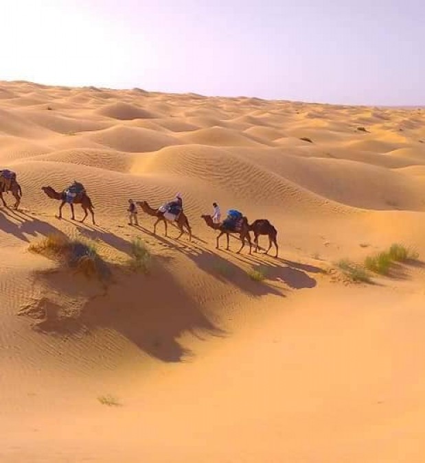 Ramla Voyages
Agence de Voyages 
Douz Tunisie
Travel Agency
Douz Tunisia
Dromadaires
Chameaux
Sahara Douz
